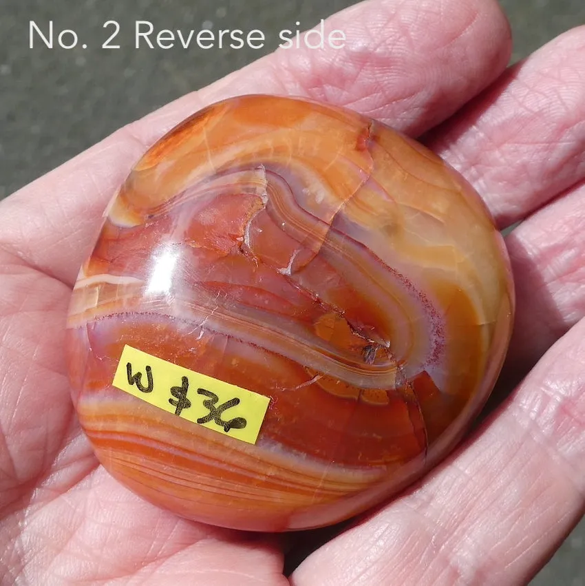 Carnelian Freeform Polished Gallet